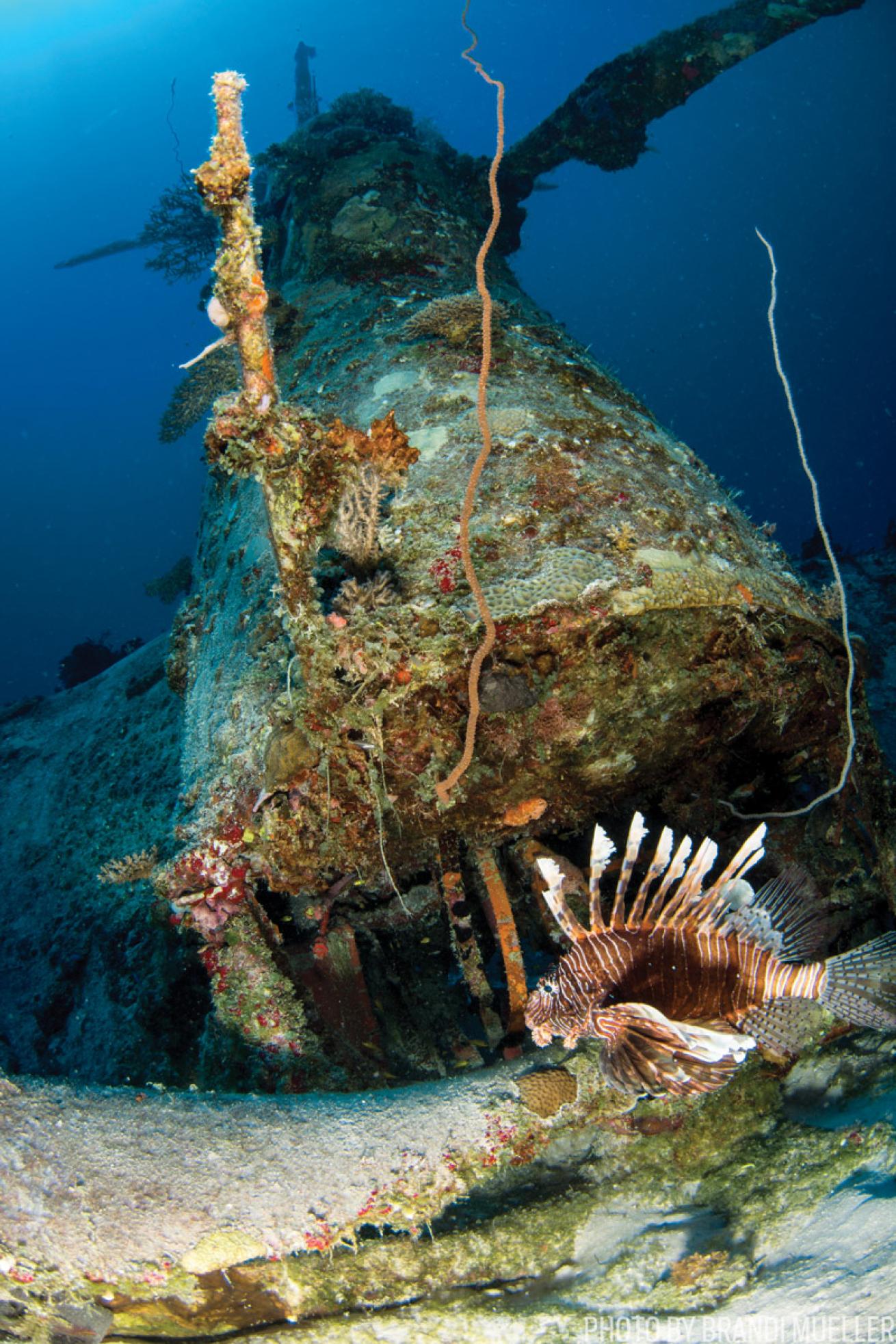 Corsair wreck at Marshall Islands 