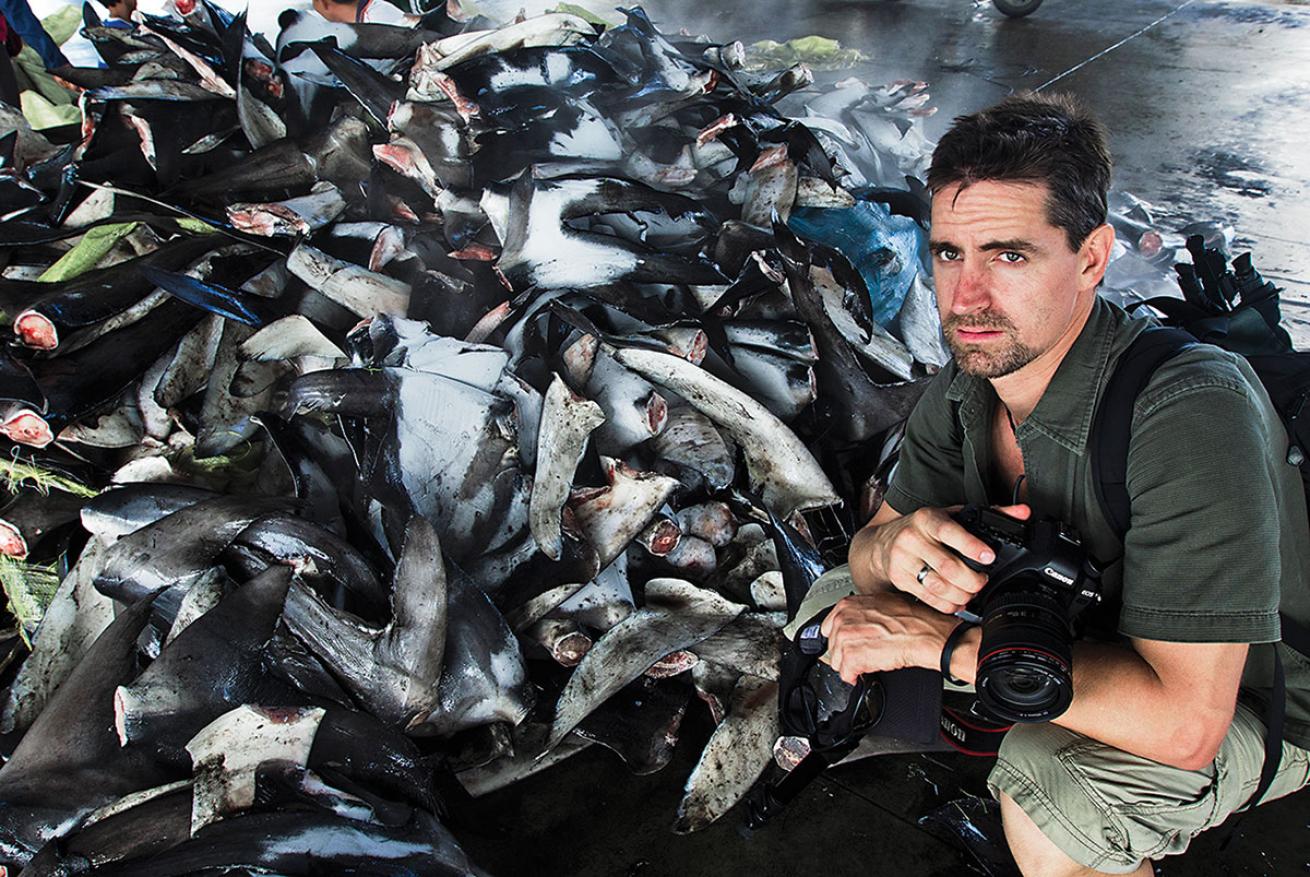Shawn Heinrichs in front of a pile of shark fins.