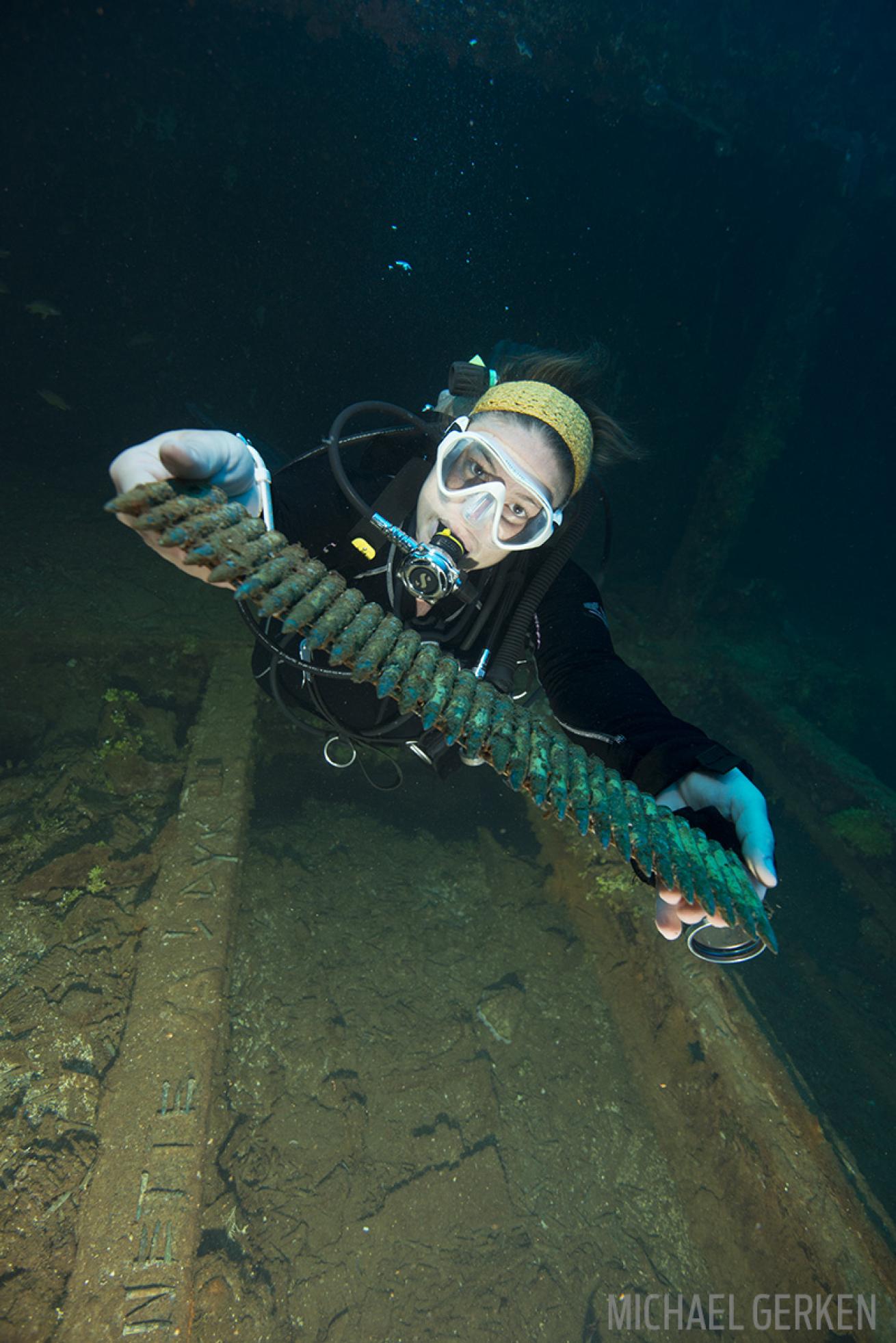 Scuba Diving Sankisan Truk Lagoon Underwater