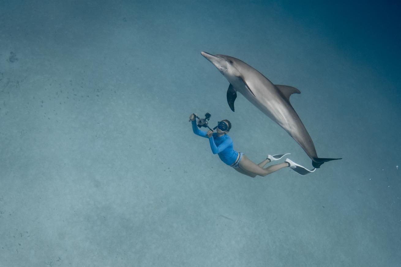 Freediver swims with a curious Atlantic spotted dolphin in the Bahamas