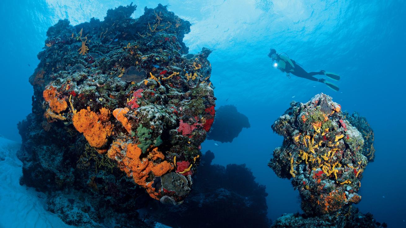 cozumel diving