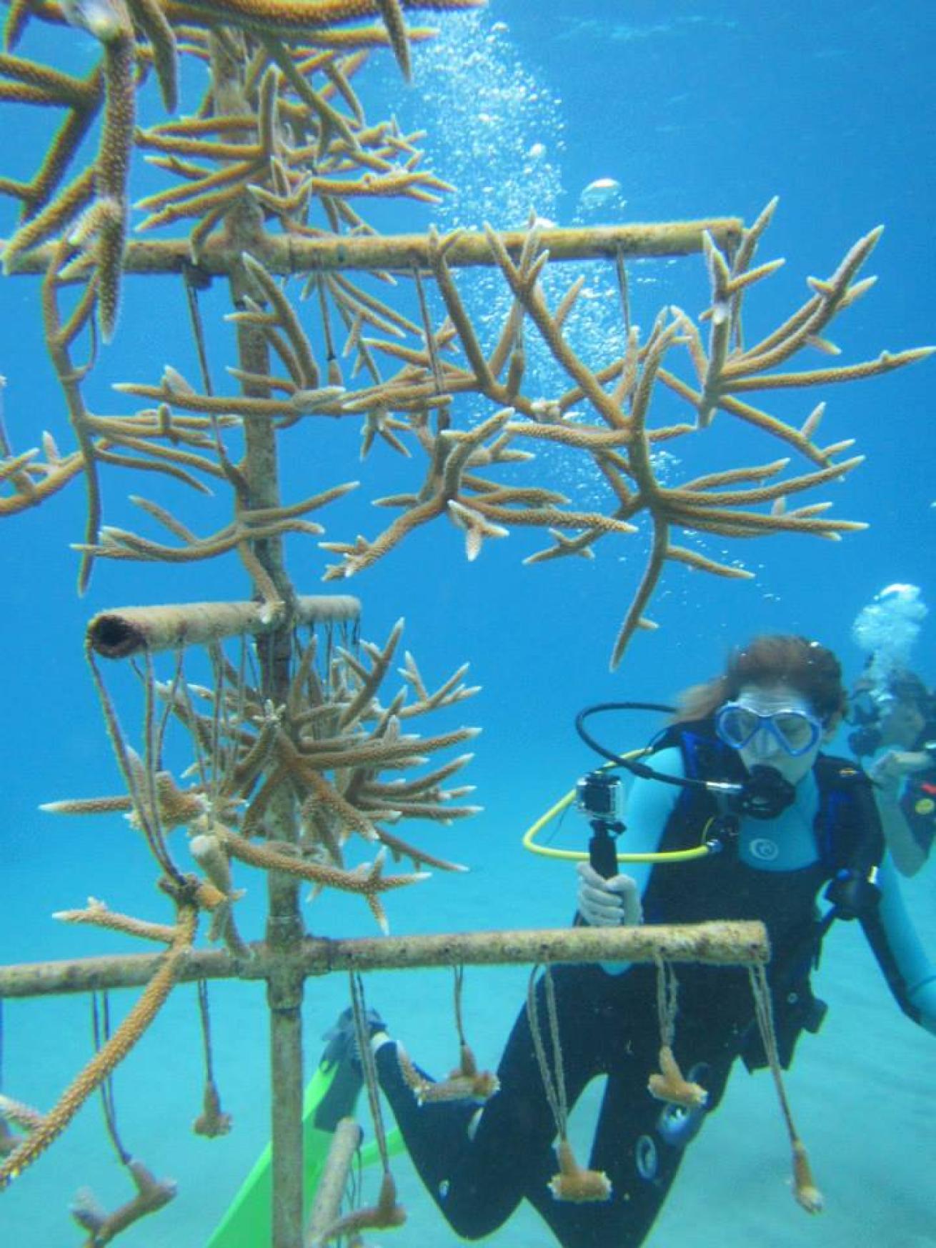 Becca Hurley, Digital Producer, Sport Diver and Scuba Diving