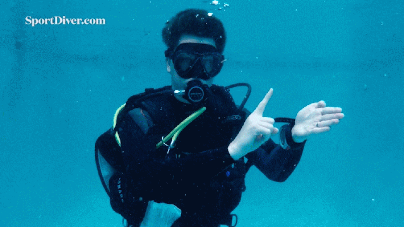 scuba diving hand signals air