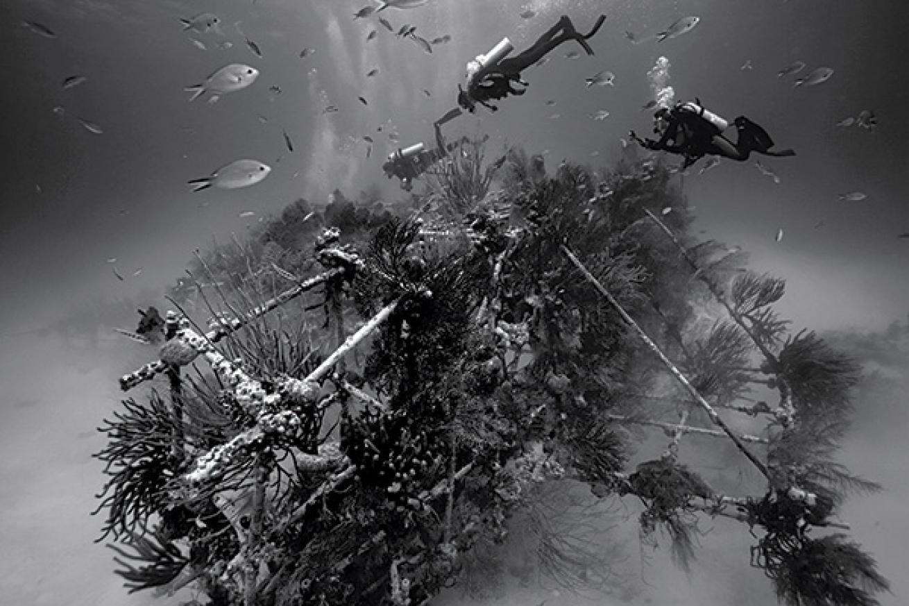 James Bond Wreck scuba diving bahamas