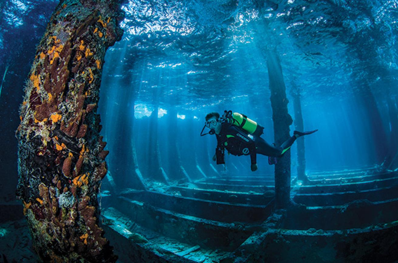 bahamas scuba diving shipwrecks
