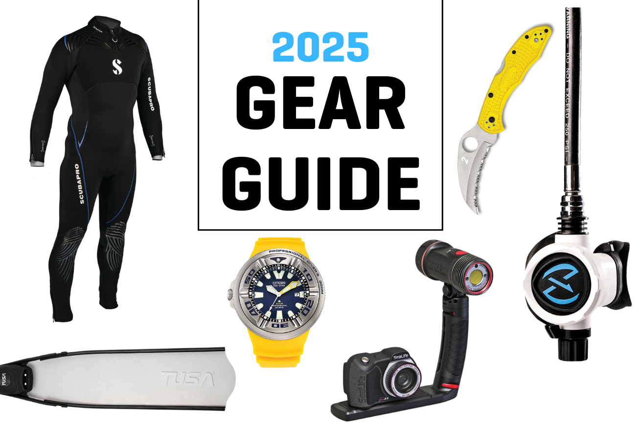 image of scuba gear including regulators and dive watches and wetsuits and an underwater camera