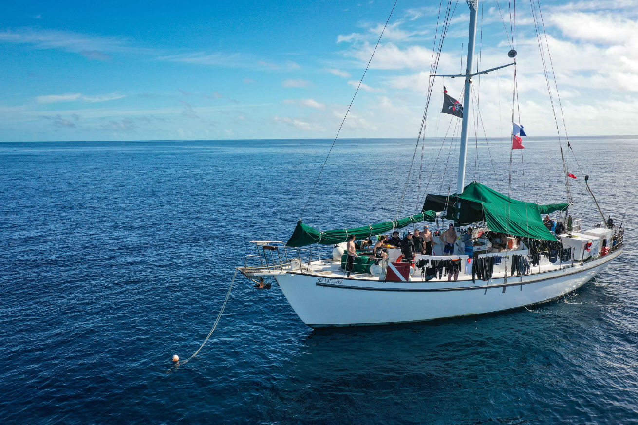 All Star Sea Explorer vessel