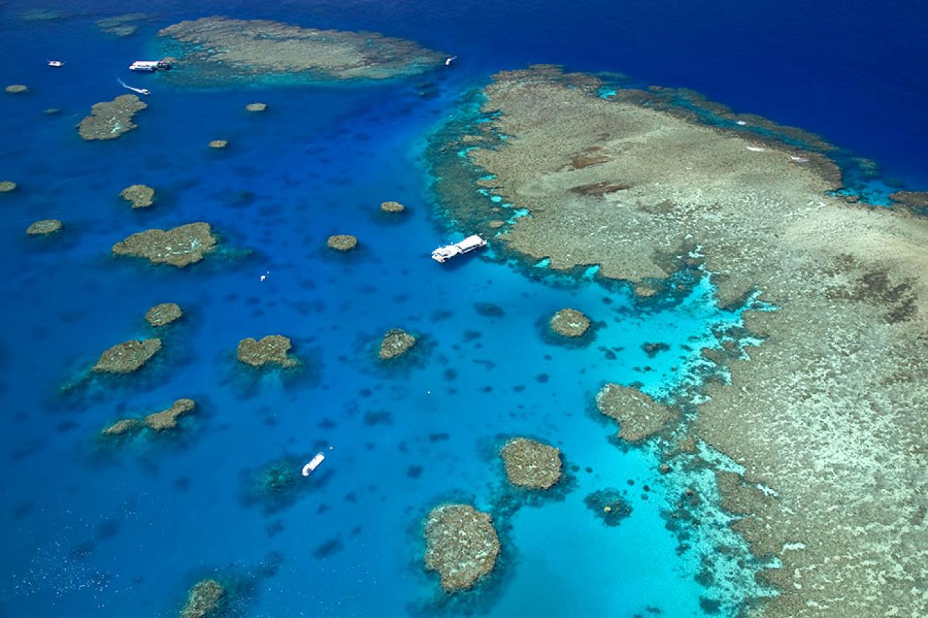 scuba diving great barrier reef