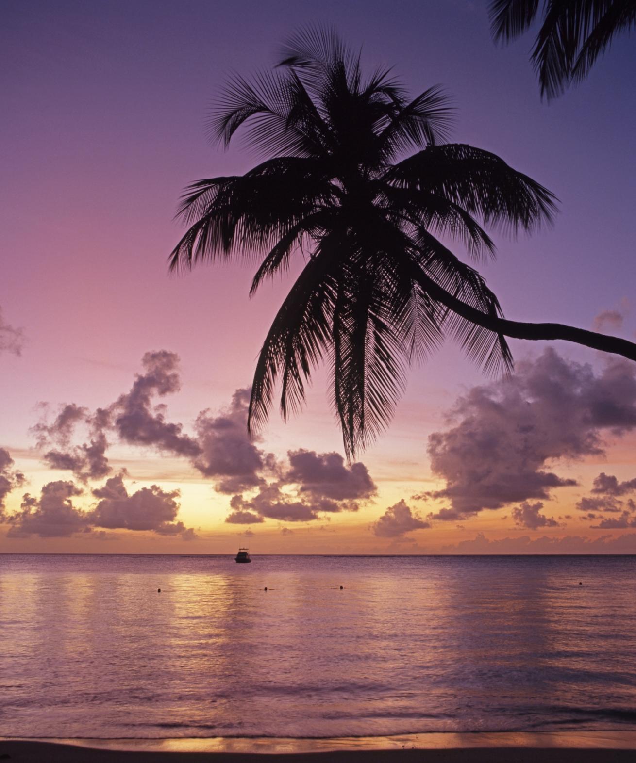 Romantic Tobago Resort