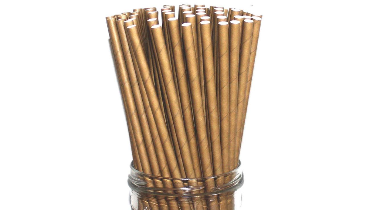 World Brand 300 Dye-Free Biodegradable PREMIUM Paper Straws