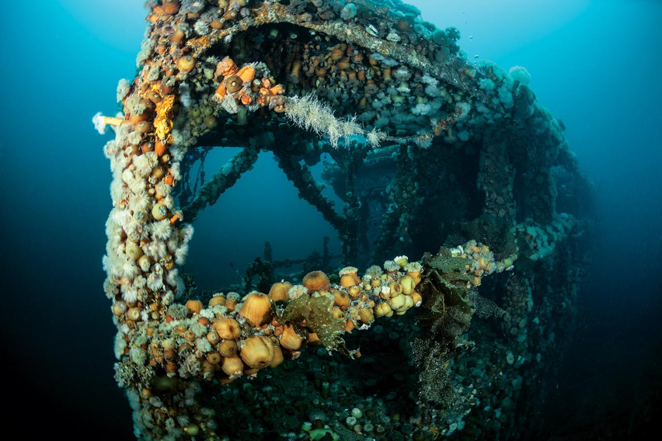 SS Lord Strathcona
