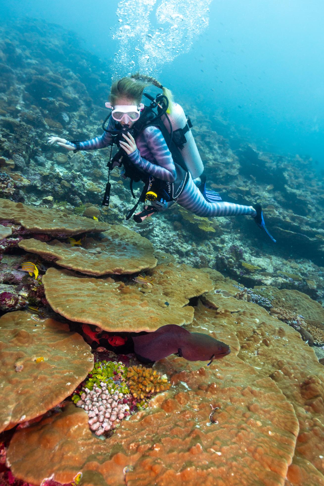 a diver swims above coral in the maldives