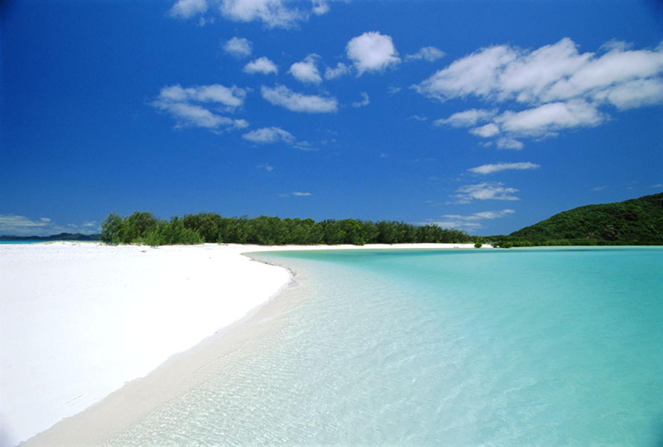 best scuba diving australia