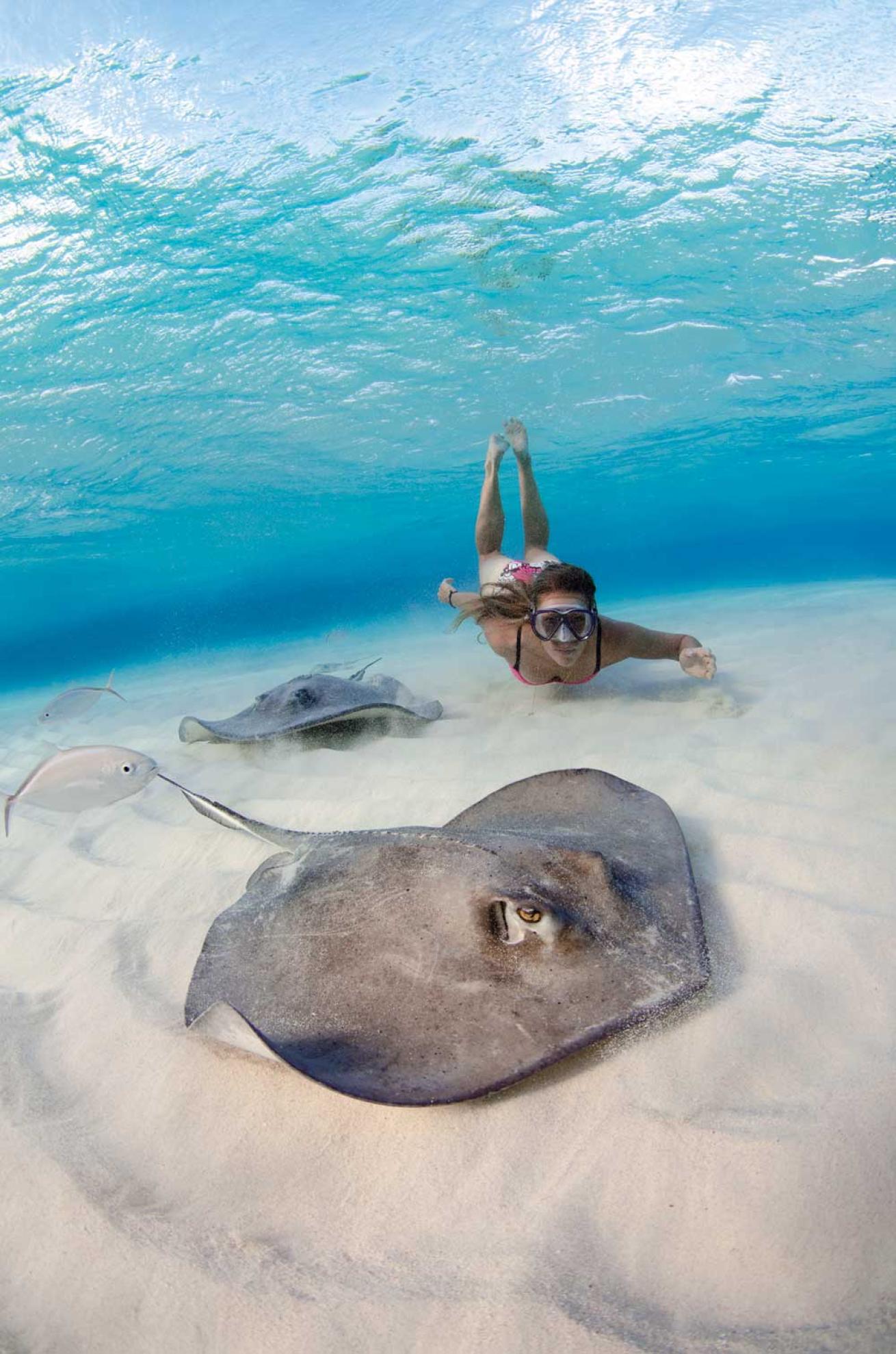 stingray city