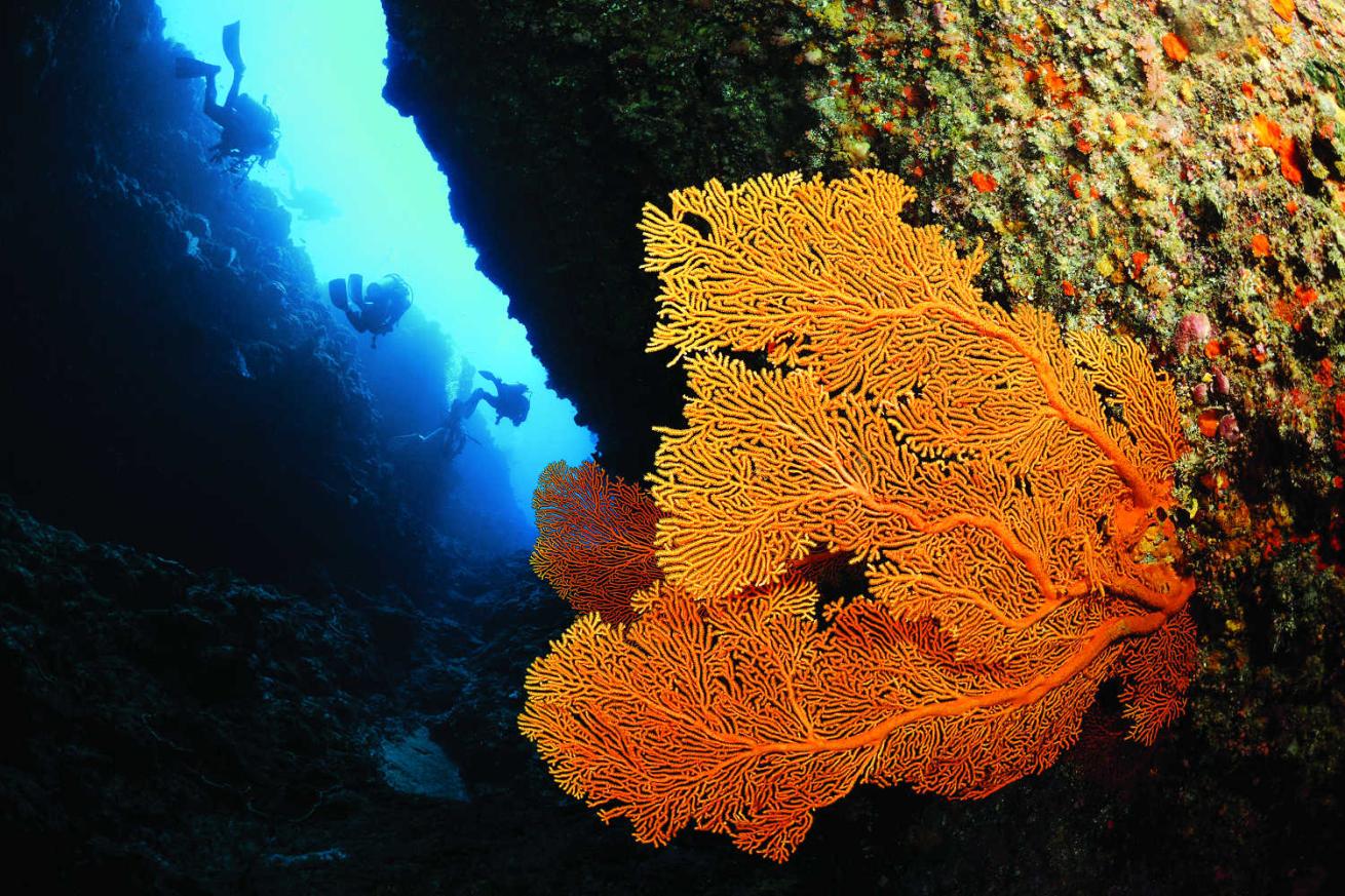 Kuba Island