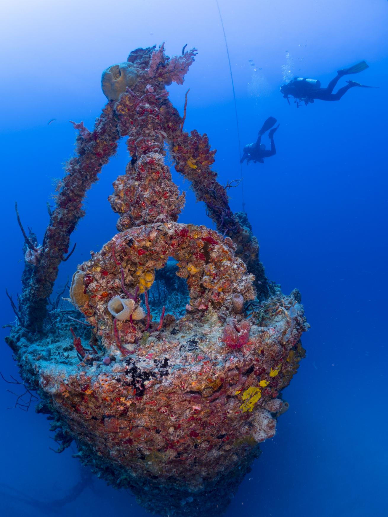 Divers descending on Spiegel Grove