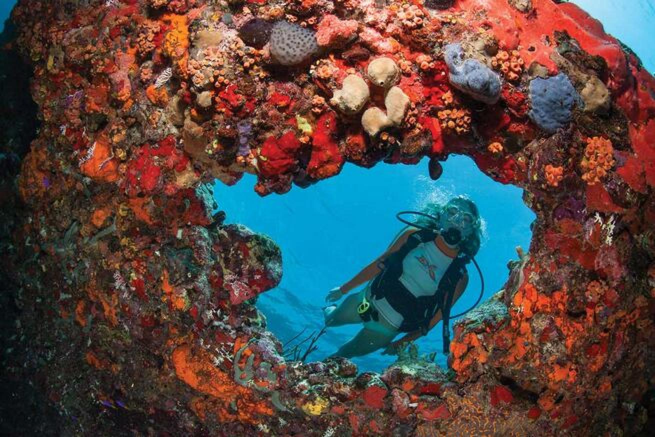 St. John offers shallow sites and plentiful hard coral.