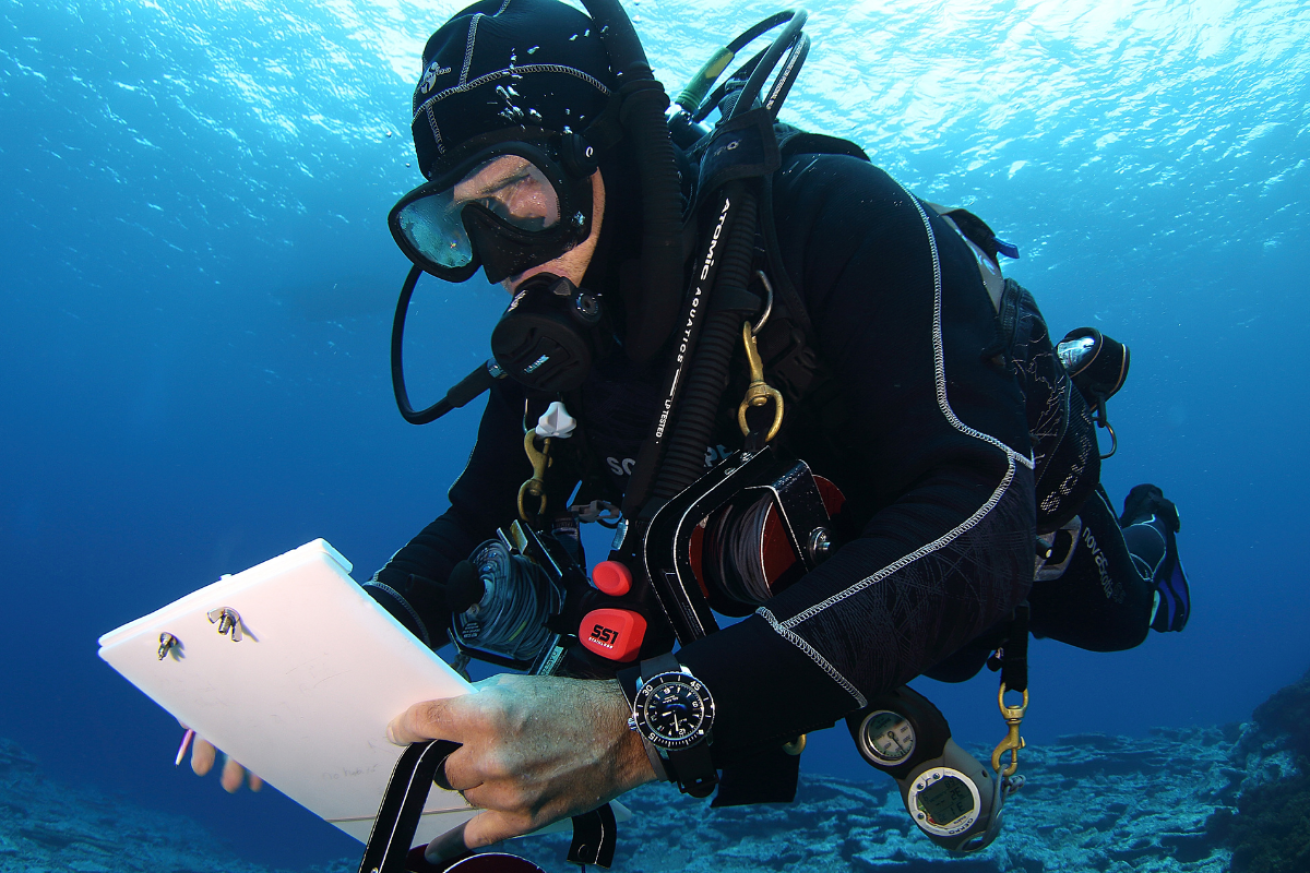 A scuba diver reading a clipboard