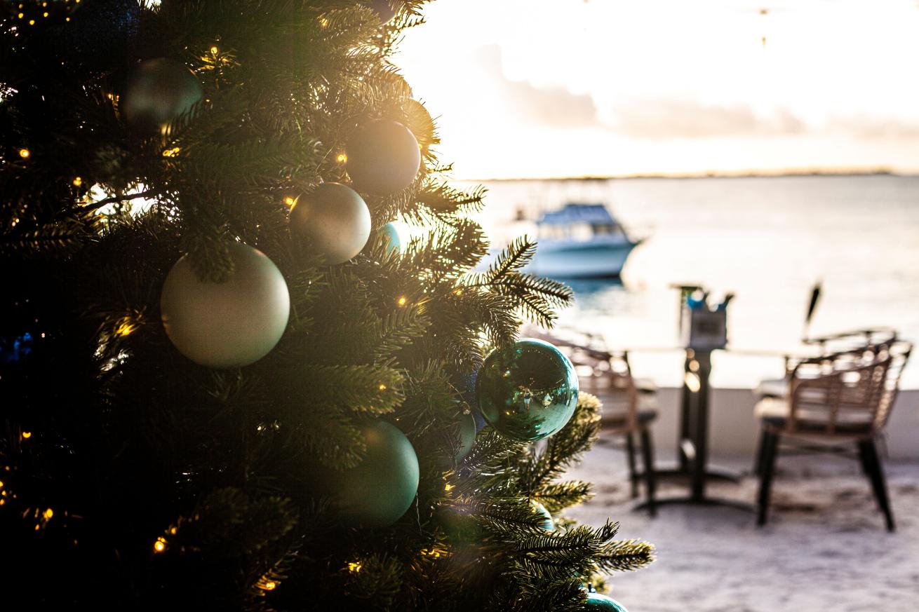 A Christmas tree with ornaments and lights