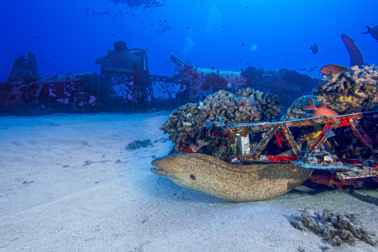 Shipwreck in Hawaii