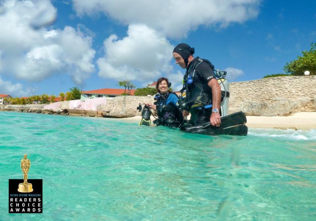 A person and person scuba diving in the water