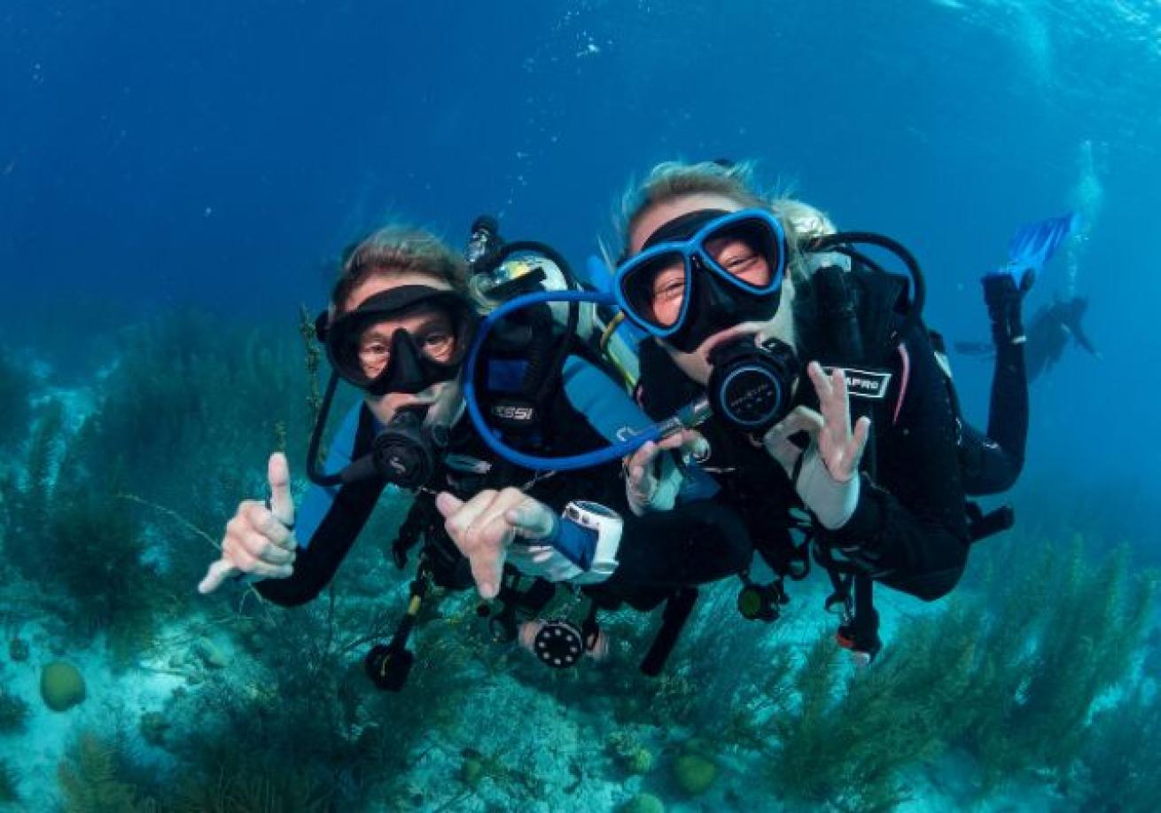 A group of people scuba diving