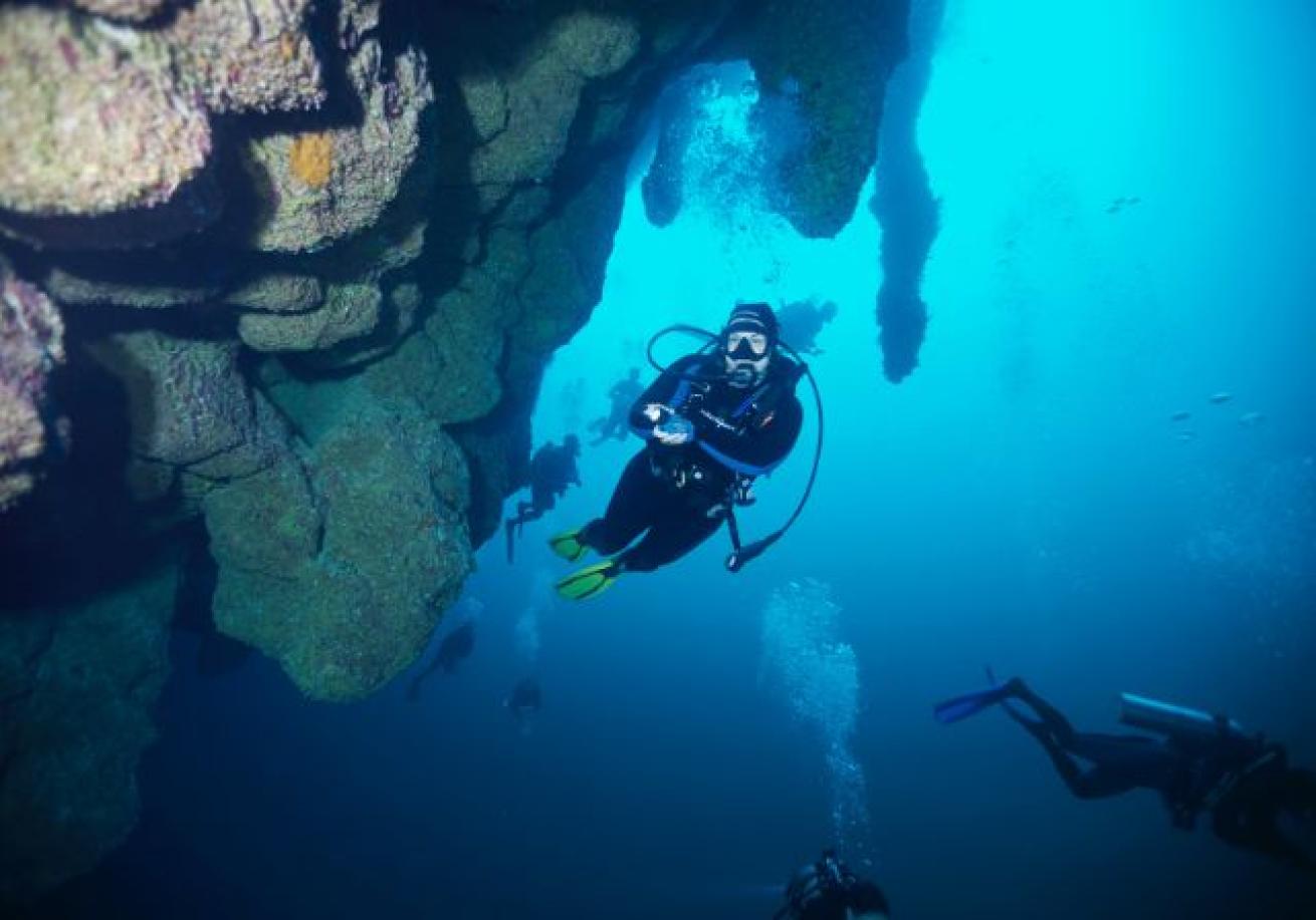 Scuba divers under water