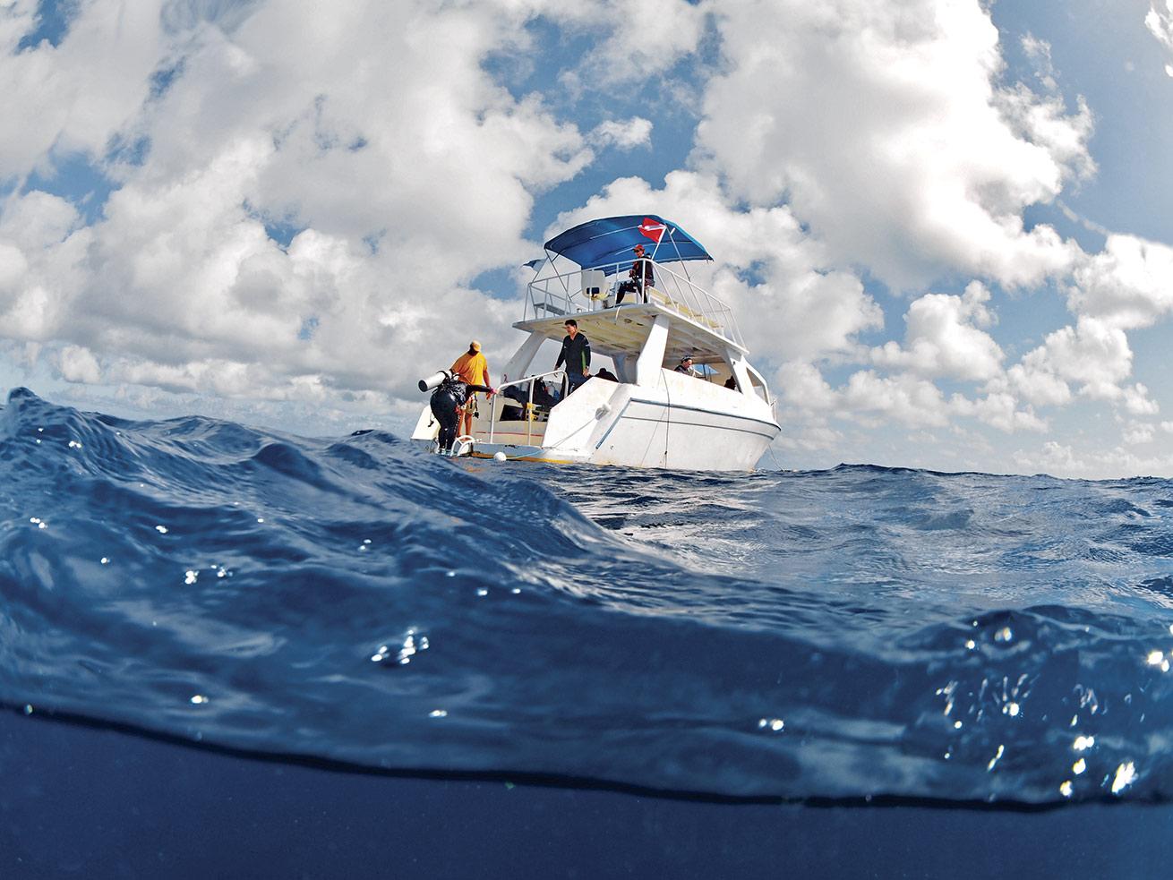 Guanahani Divers operates two dive boats from a marina that is a short walk from the resort.