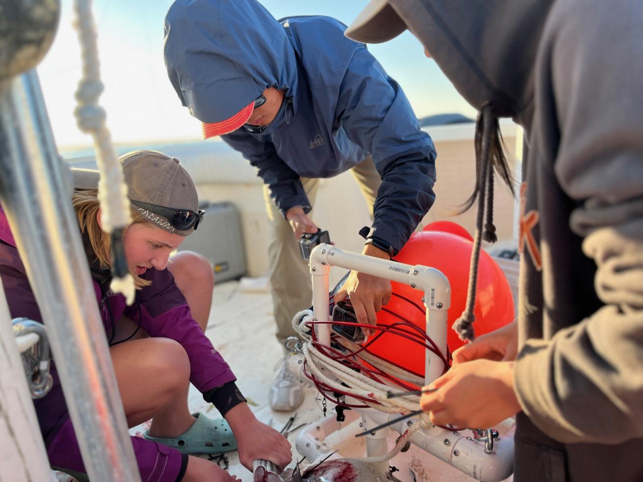 During his activities at his NPO, O'Seas Conservation Foundation, Inc., Dr. Craig O'Connell practices experiential learning where his students get hands on training in Engineering, Science and Shark Behavioral research. In this image, his students are designing and building their own baited remote underwater video systems (BRUVS) so they can conduct remote surveillance of the Shark Exclusion Barrier in Chatham, Cape Cod.
