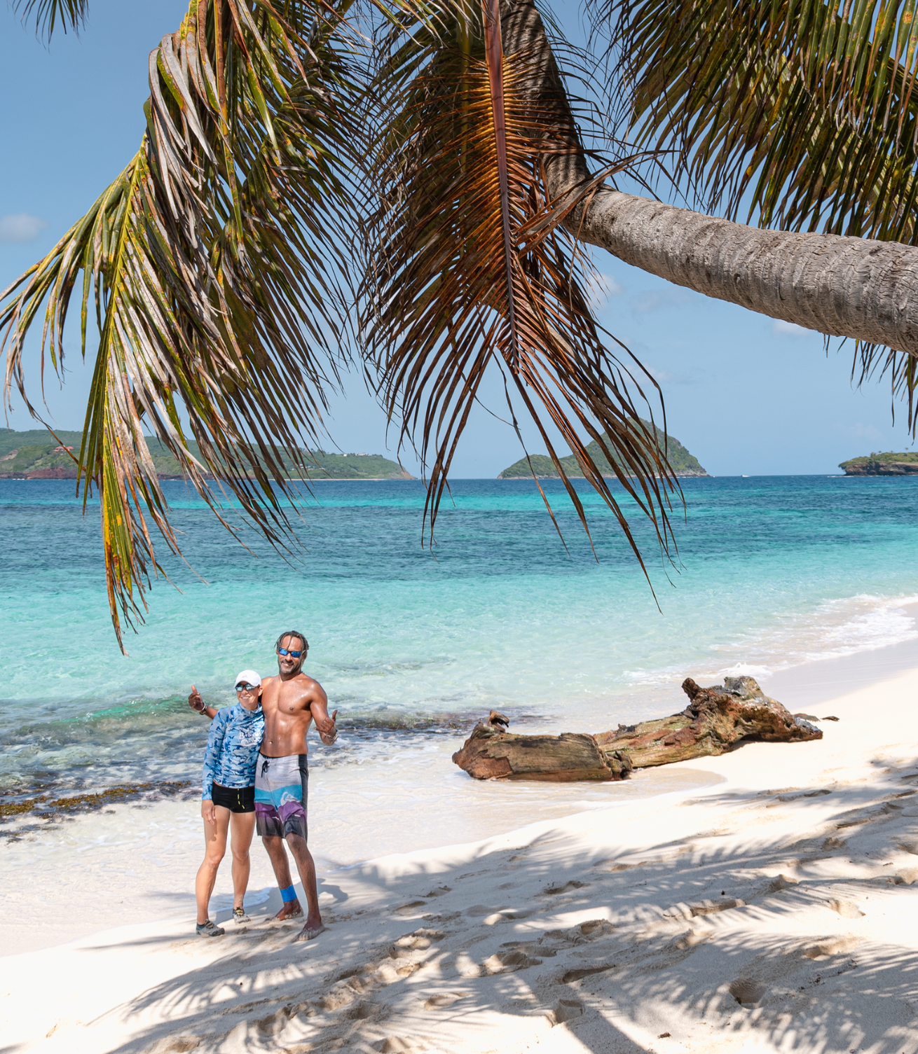 people standing under palm tree on a beach