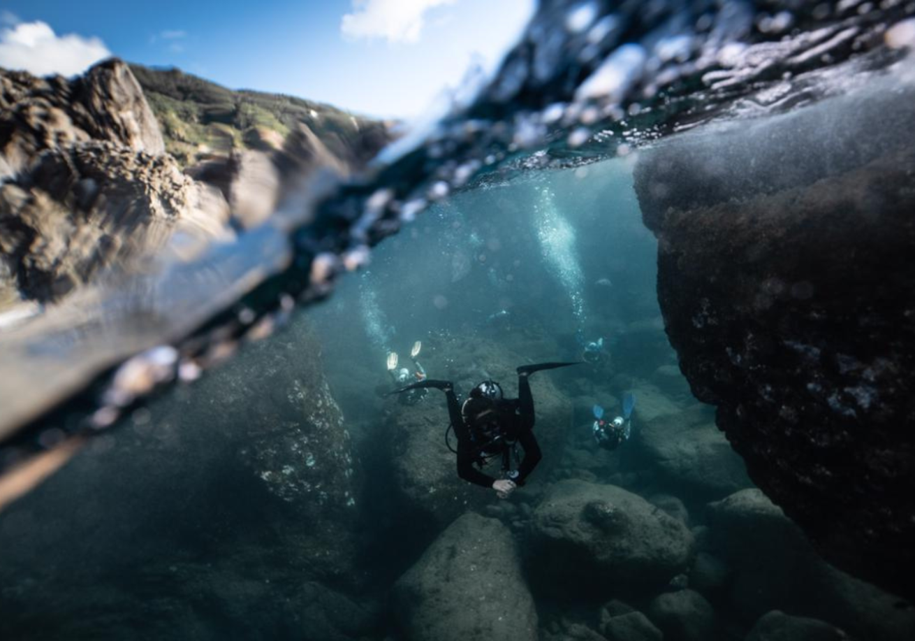 A scuba diver underwater on a rocky reef