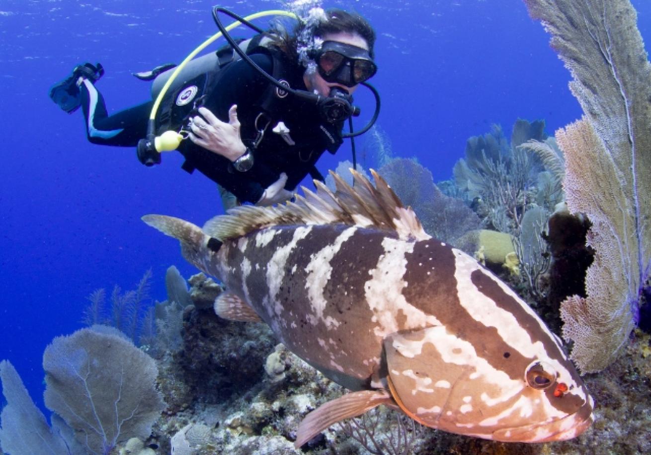 A scuba diver swimming with a fish