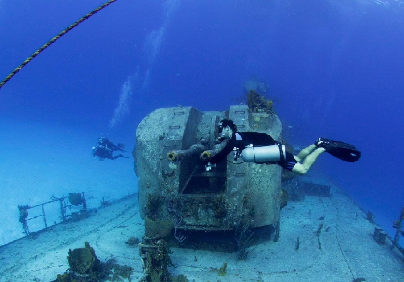 A scuba diver in a scuba gear