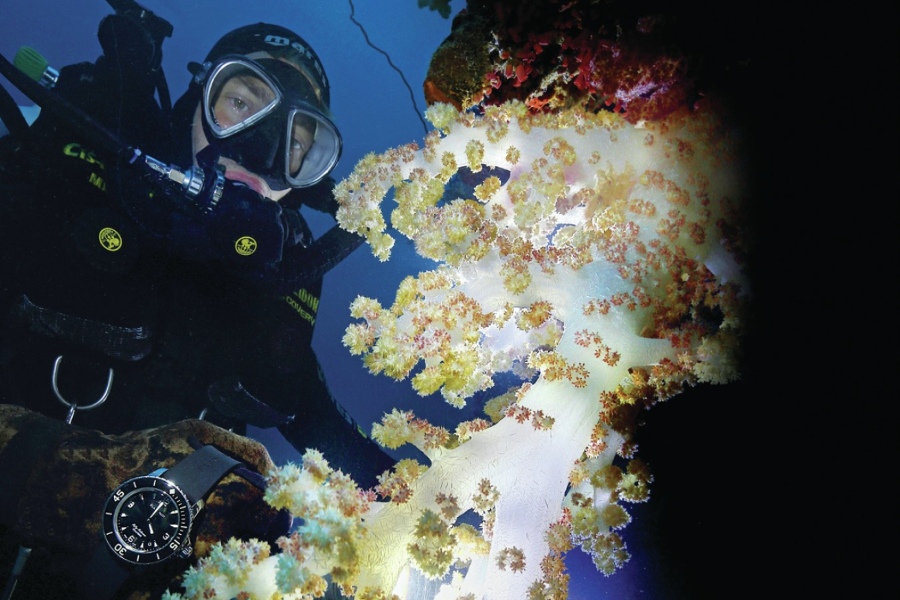 A scuba diver underwater holding a watch