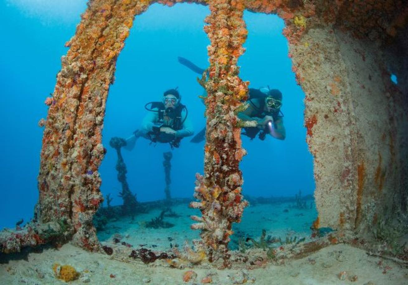 Scuba divers under the water