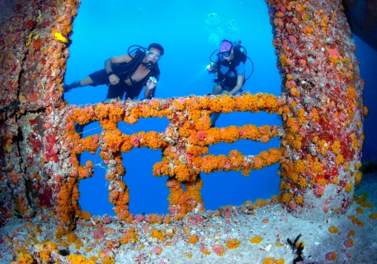 A couple snorkeling in the water