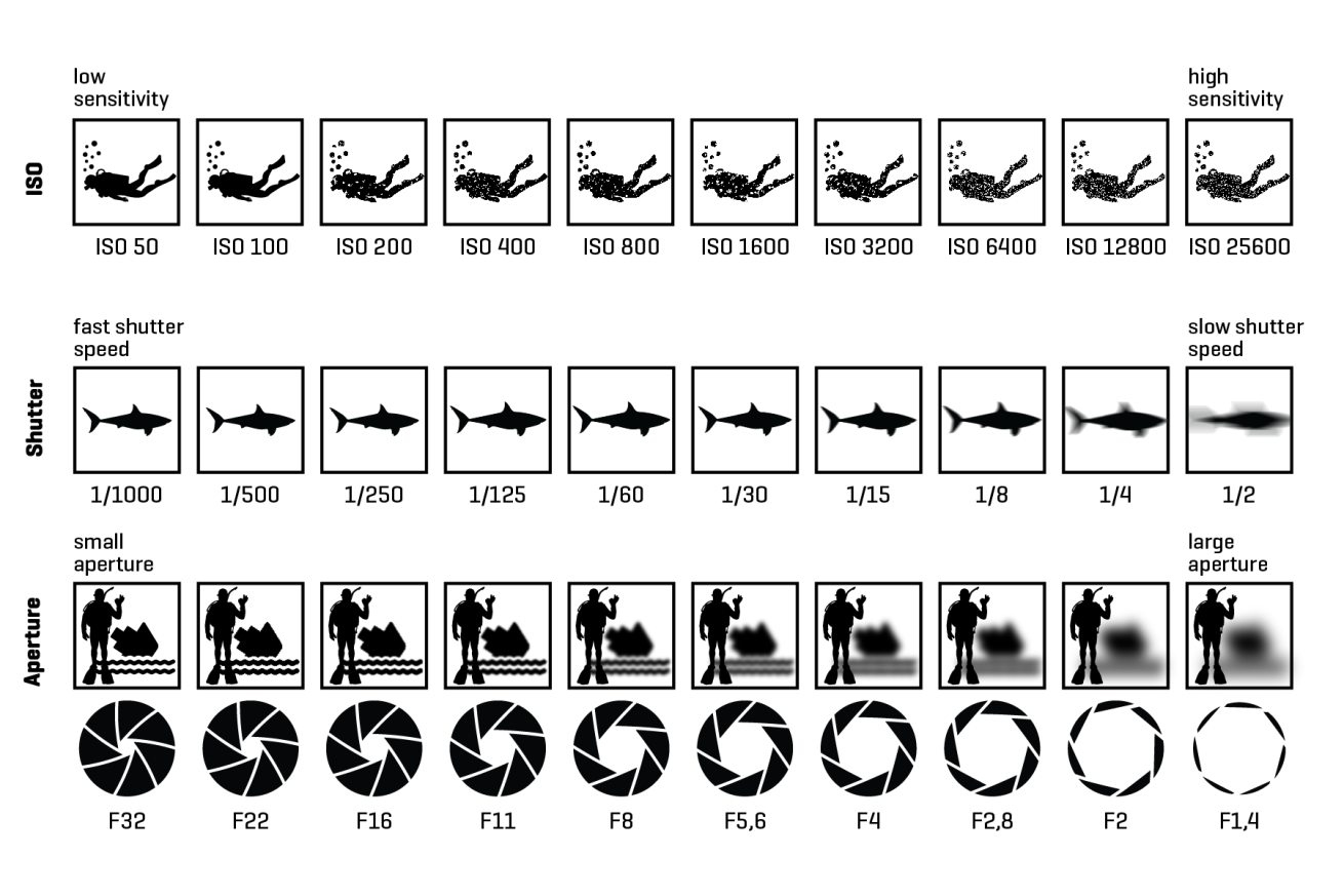 cheat sheet of underwater manual photography settings