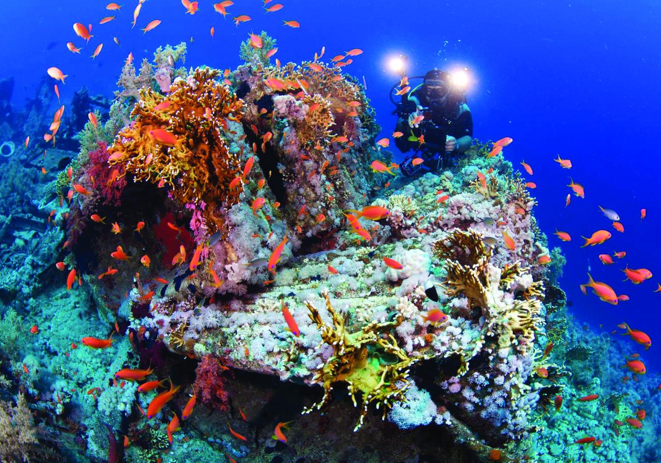 Diver on the Yolanda
