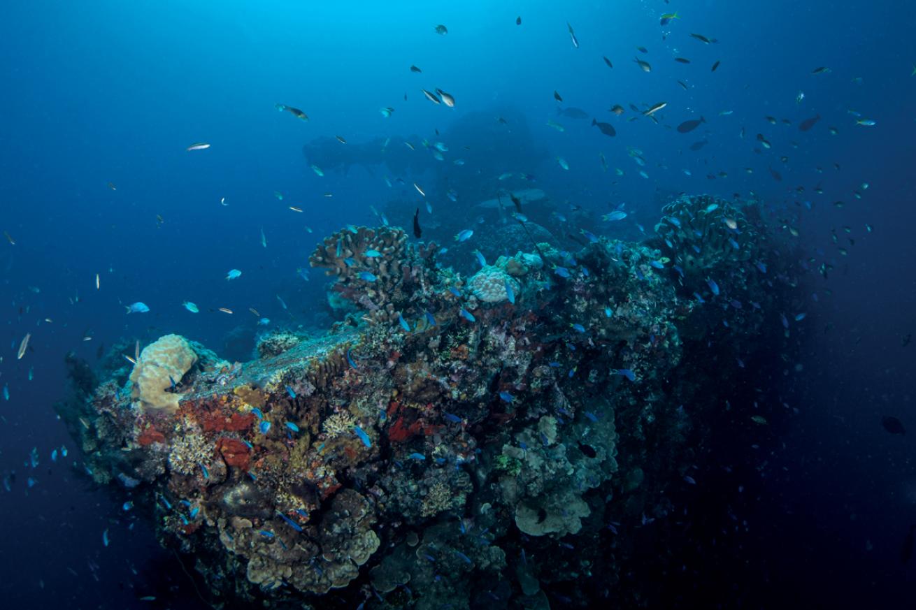 The intact bow gun on *Fujikawa Maru*