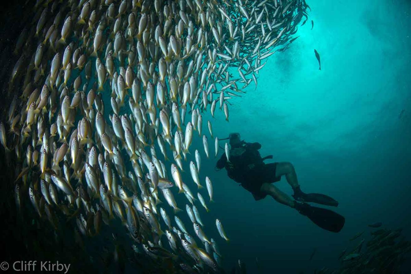 scuba diving Thailand