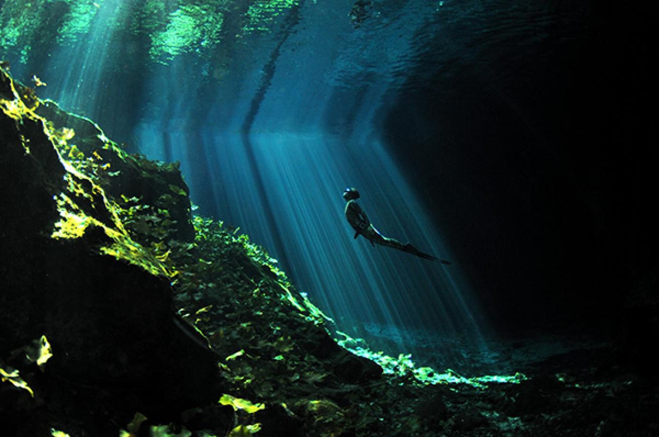 Free Diver in Gran Cenote