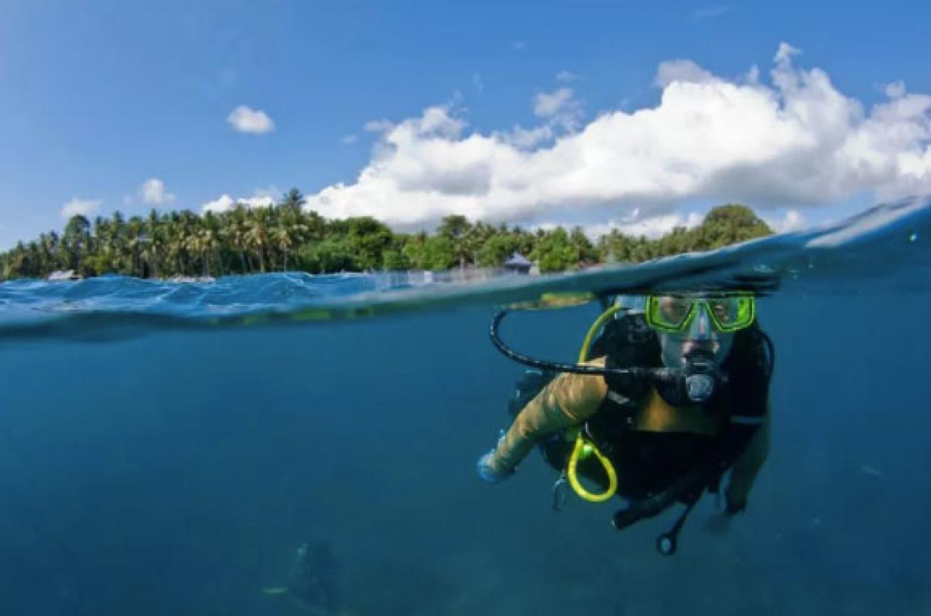 Scuba dver