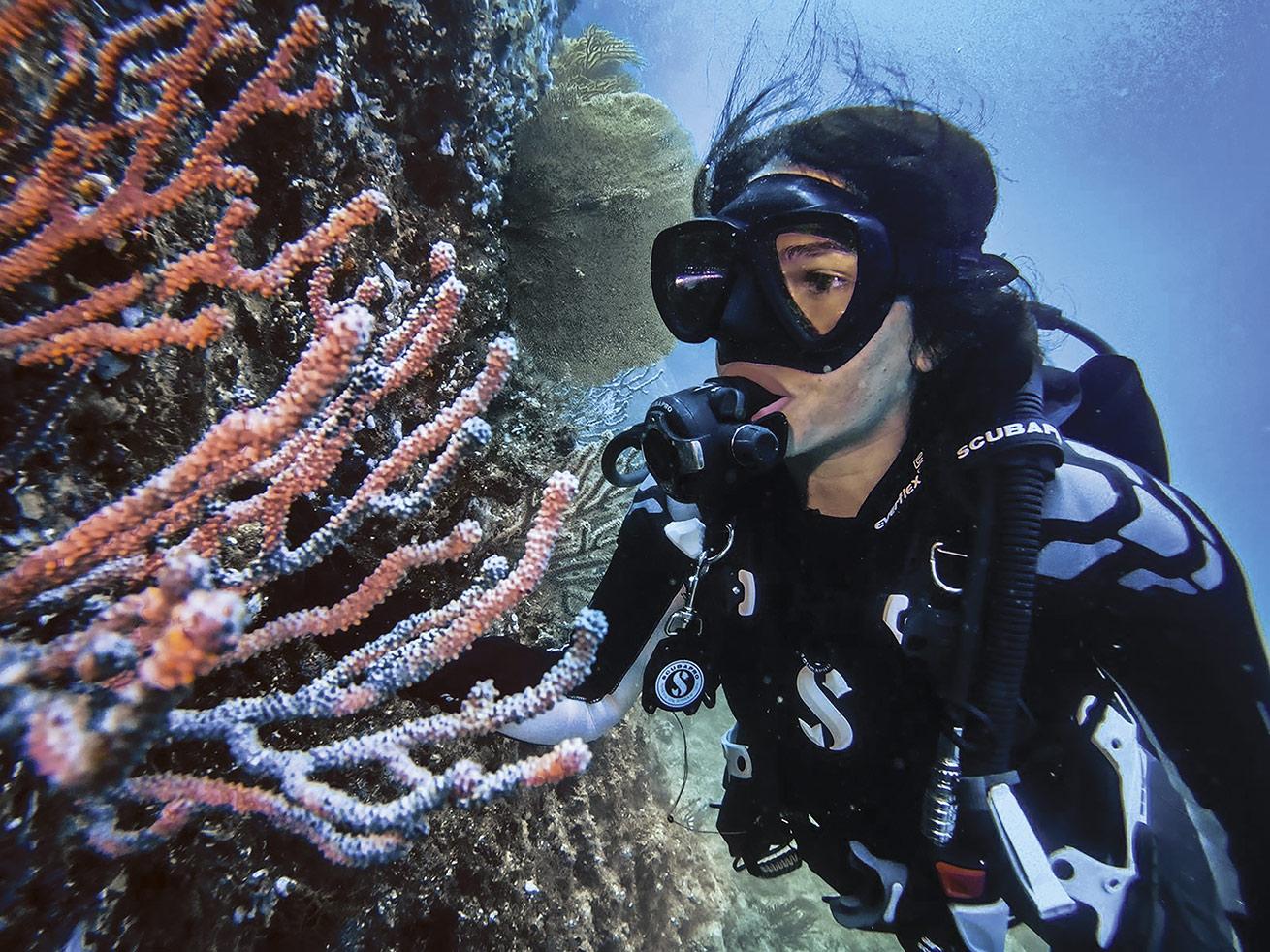 Jabbour was on a dive trip in Colombia when she identified a problem she set out to solve.