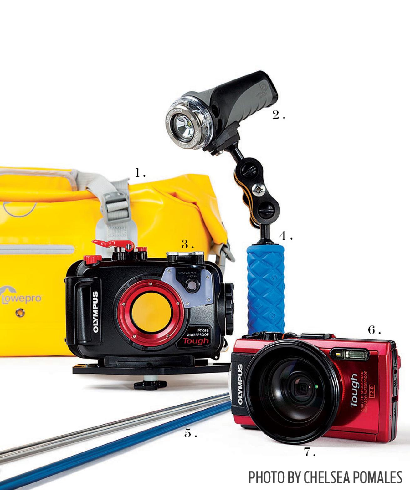underwater photography gear amateur
