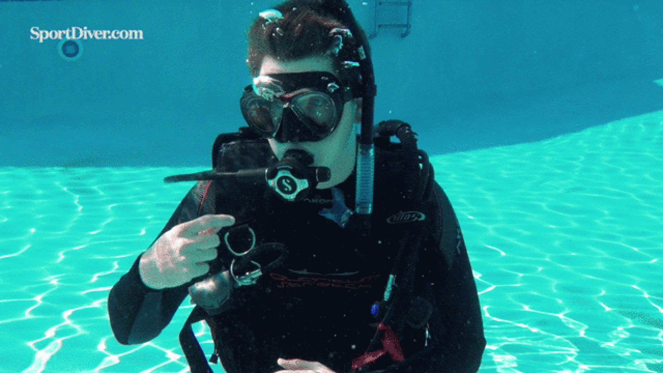 Angelfish hand signal