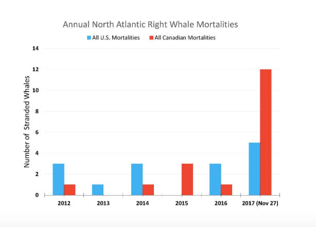 Annual North American Right Whale Mortalities