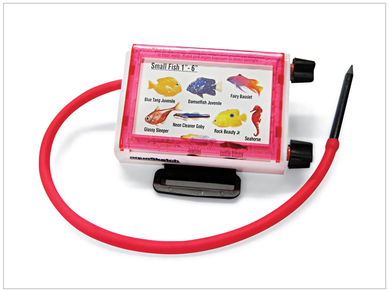 aquaSketch minno dive slate