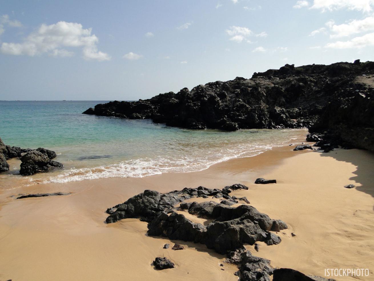 ascension island united kingdom marine reserve beach