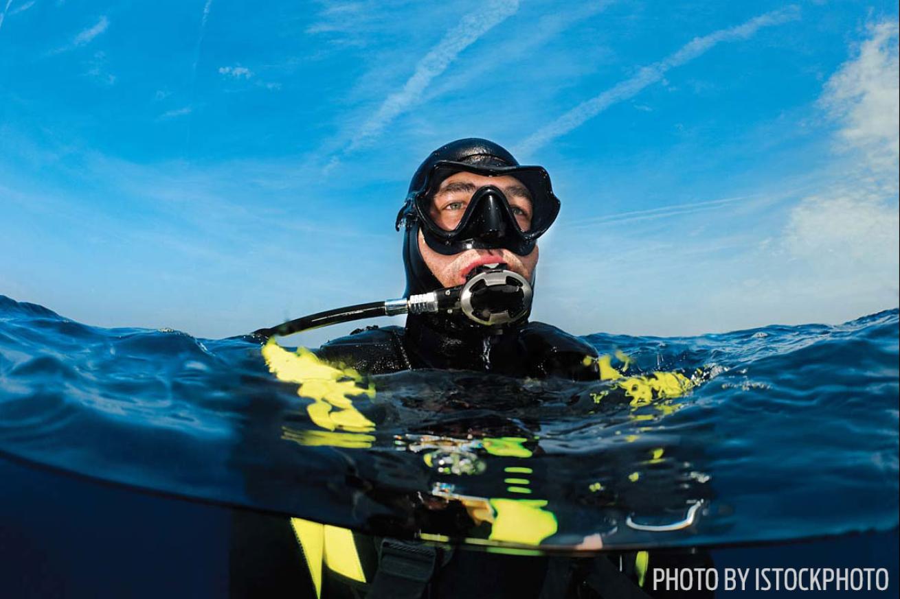 divers alert network