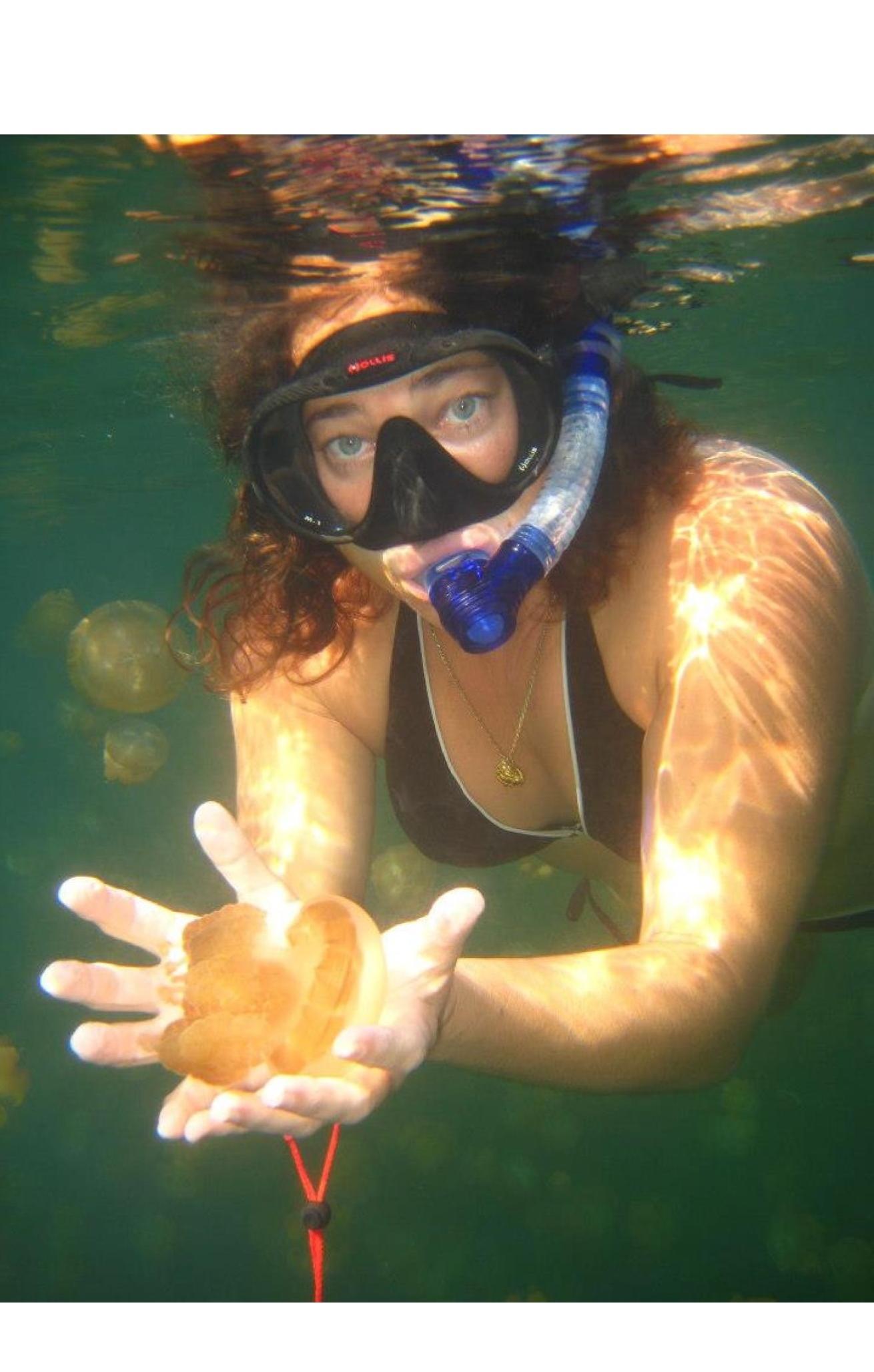 Autumn Blum cradles a golden jellyfish in Palau during the trip that inspired her to create Stream2Sea.